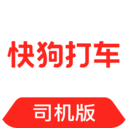 大地视频 